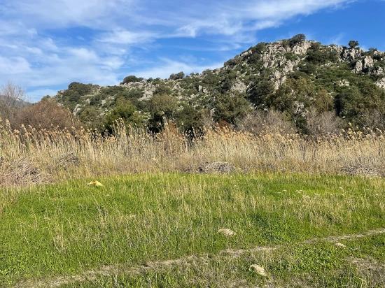 Dalyan'da 6800 M2 %5 Konut İmarlı Satılık Arsa