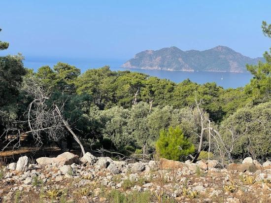 Ekincik Çandır Arasın'da Deniz Manzaralı Kelepir Emlak Satılık Arsa