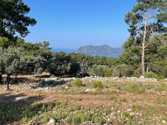 Ekincik Çandır Arasın'da Deniz Manzaralı Kelepir Emlak Satılık Arsa