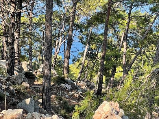 Ekincik Çandır Arasın'da Deniz Manzaralı Kelepir Emlak Satılık Arsa
