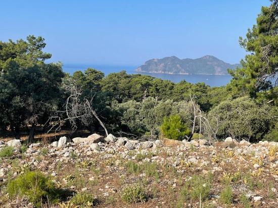Ekincik Çandır Arasın'da Deniz Manzaralı Kelepir Emlak Satılık Arsa