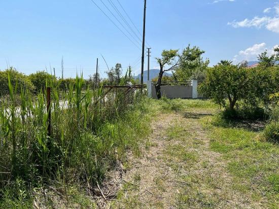 Dalyan Maraş Mevkiinden 5,100m2 %5 Konut İmarlı Satılık Arsa