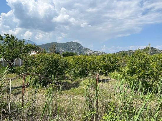 Dalyan Maraş Mevkiinden 5,100m2 %5 Konut İmarlı Satılık Arsa