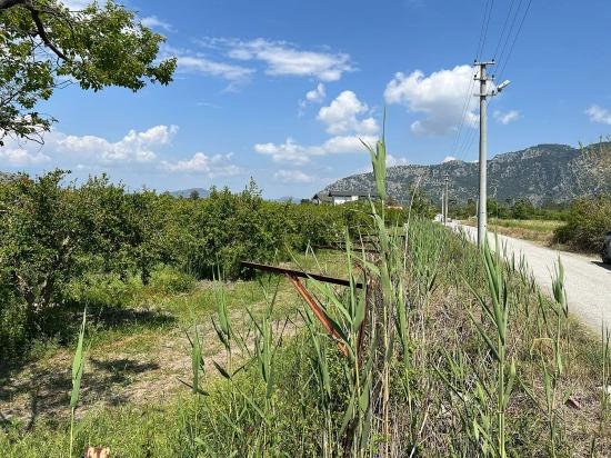 Dalyan Maraş Mevkiinden 5,100m2 %5 Konut İmarlı Satılık Arsa