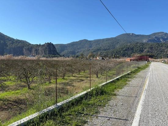 Dalyan'da Bağ Bahçe Olarak 5985m2 %5 İmarlı Satılık Arsa