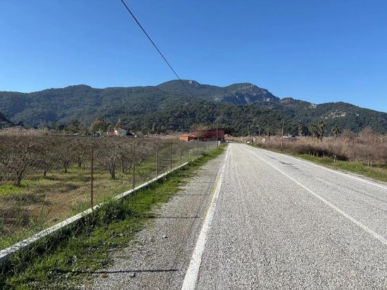 Dalyan'da Bağ Bahçe Olarak 5985m2 %5 İmarlı Satılık Arsa
