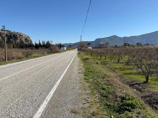 Dalyan'da Bağ Bahçe Olarak 5985m2 %5 İmarlı Satılık Arsa