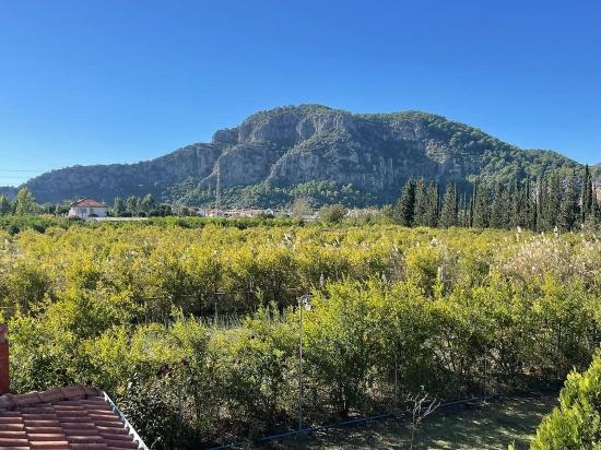Dalyan Gülpınar'da 6000m2 Arsa İçerisinde 4+2 Satılık Villa
