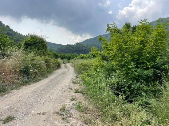 Gökbel'de İztuzu Plajı Yoluna Sıfır 7800m2 Satılık Arazi