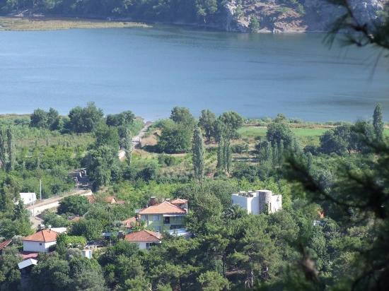 Köyceğiz Çandır'da 19.334m2 Satılık Tarla
