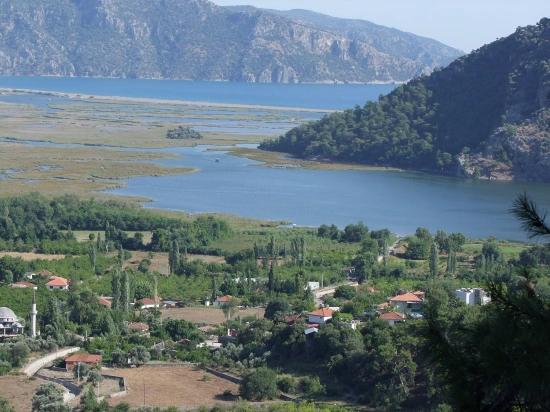Köyceğiz Çandır'da 19.334m2 Satılık Tarla