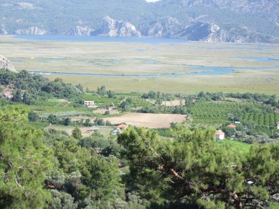 Köyceğiz Çandır'da 19.334m2 Satılık Tarla