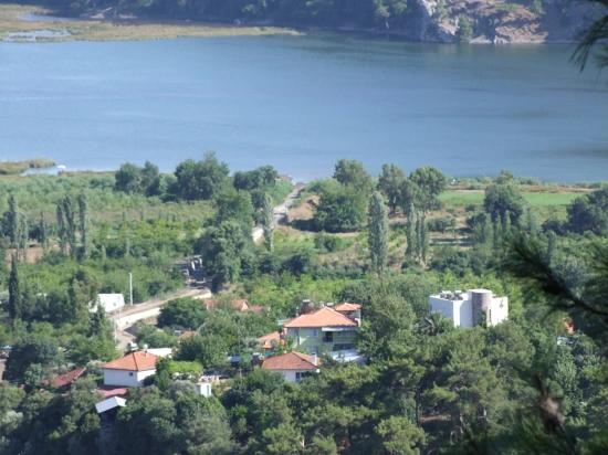 Köyceğiz Çandır'da 19.334m2 Satılık Tarla