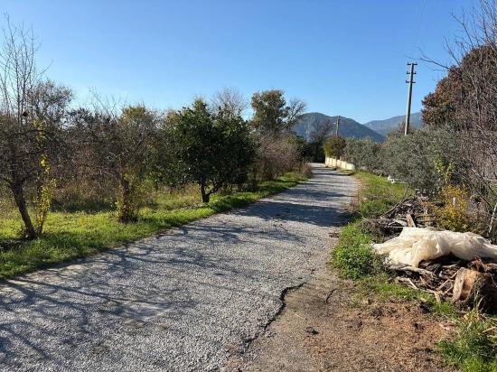 Dalyan'da 4.541m2 Satılık Bahçe