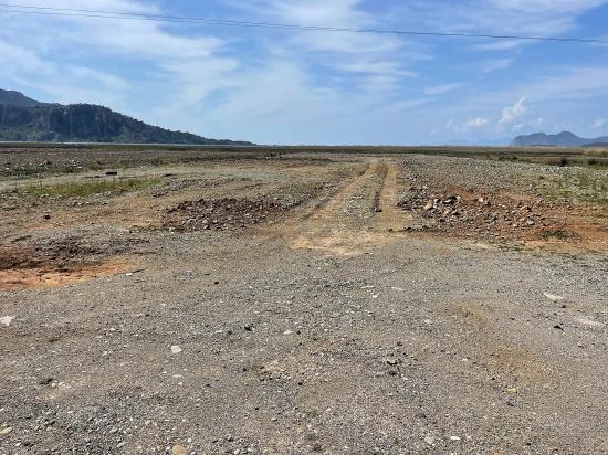 Dalyan İztuzu Plaj Yoluna Sıfır 19.600m2 Satılık Tarla