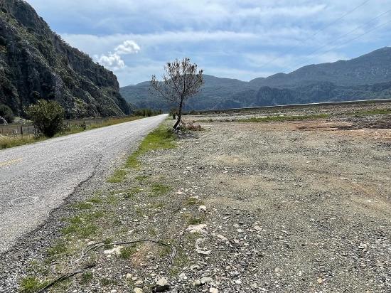 Dalyan İztuzu Plaj Yoluna Sıfır 19.600m2 Satılık Tarla