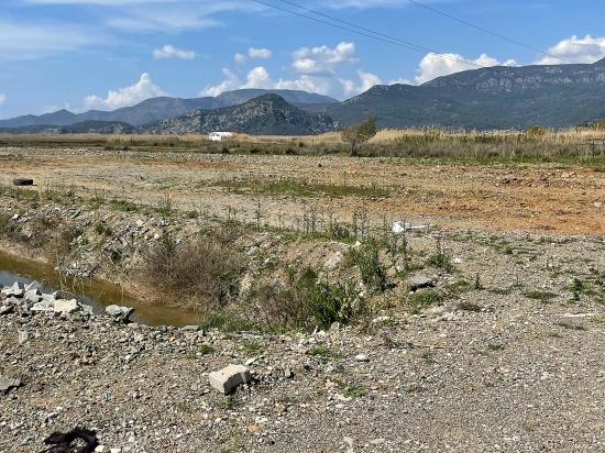 Dalyan İztuzu Plaj Yoluna Sıfır 19.600m2 Satılık Tarla
