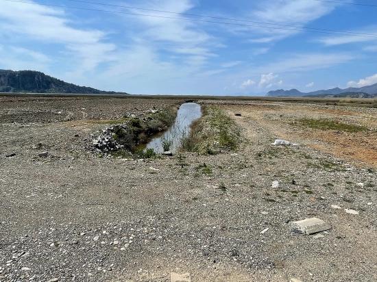 Dalyan İztuzu Plaj Yoluna Sıfır 19.600m2 Satılık Tarla
