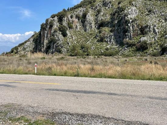 Dalyan İztuzu Plaj Yoluna Sıfır 19.600m2 Satılık Tarla