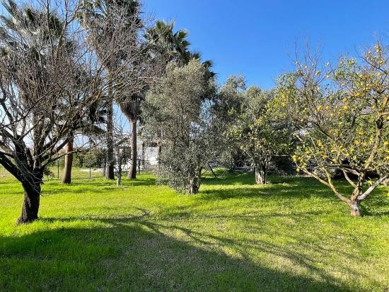 Eskiköy'de 2882 M2 Arsa İçerisinde Müstakil Satılık Tek Katlı Ev
