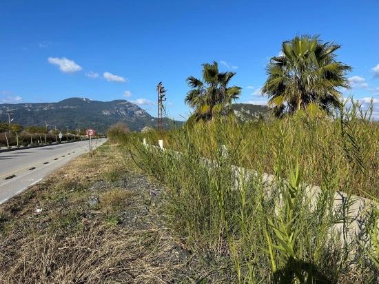 Dalyan Anayola Sıfır 5.111m2 Satılık Ticari-konut Arsası