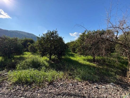 Okçular'da Yerleşik Alanında 4,326m2 Satılık Arsa
