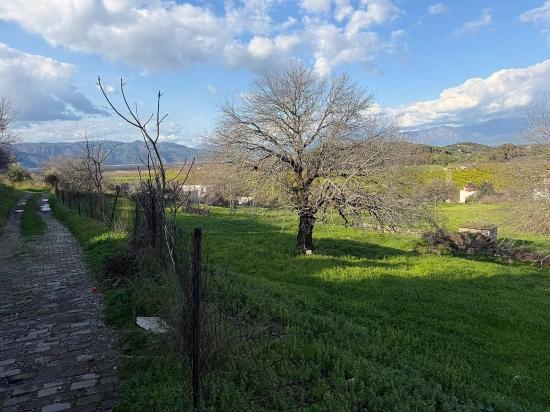 Dalyan'da Göl Manzaralı 11.230m2 Satılık Tarla