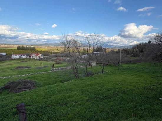 Dalyan'da Göl Manzaralı 11.230m2 Satılık Tarla