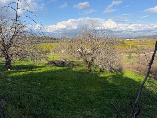 Dalyan'da Göl Manzaralı 11.230m2 Satılık Tarla