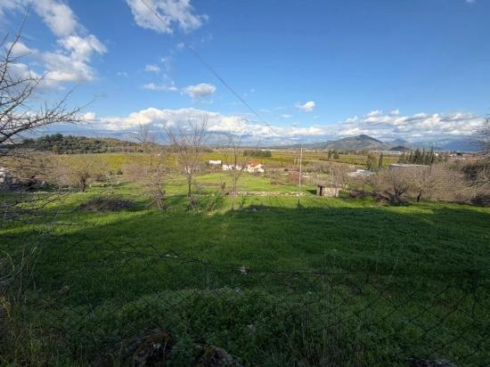 Dalyan'da Göl Manzaralı 11.230m2 Satılık Tarla