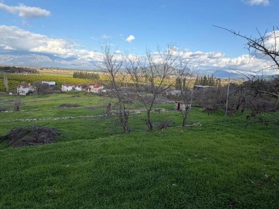Dalyan'da Göl Manzaralı 11.230m2 Satılık Tarla