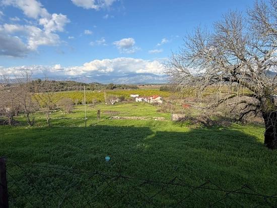 Dalyan'da Göl Manzaralı 11.230m2 Satılık Tarla