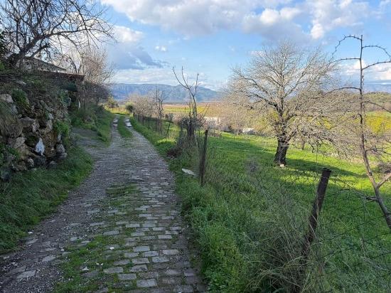 Dalyan'da Göl Manzaralı 11.230m2 Satılık Tarla