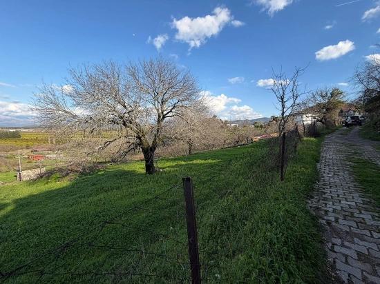 Dalyan'da Göl Manzaralı 11.230m2 Satılık Tarla