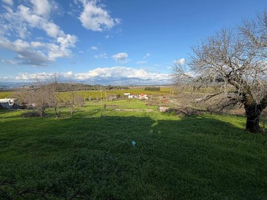 Dalyan'da Göl Manzaralı 11.230m2 Satılık Tarla