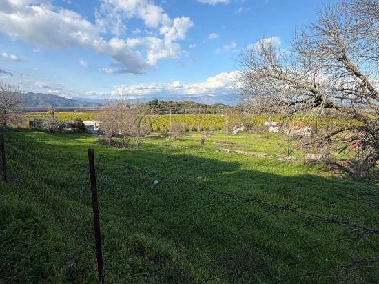 Dalyan'da Göl Manzaralı 11.230m2 Satılık Tarla