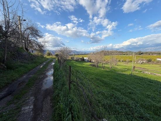 Dalyan'da Göl Manzaralı 11.230m2 Satılık Tarla