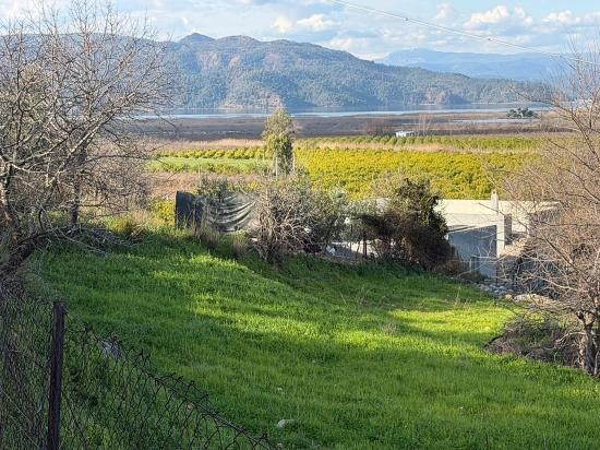 Dalyan'da Göl Manzaralı 11.230m2 Satılık Tarla
