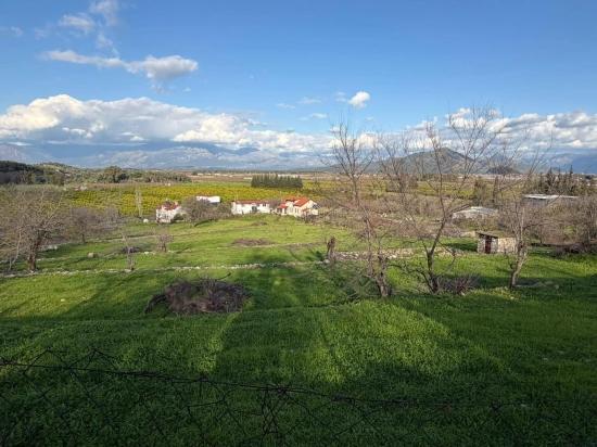 Dalyan'da Göl Manzaralı 11.230m2 Satılık Tarla