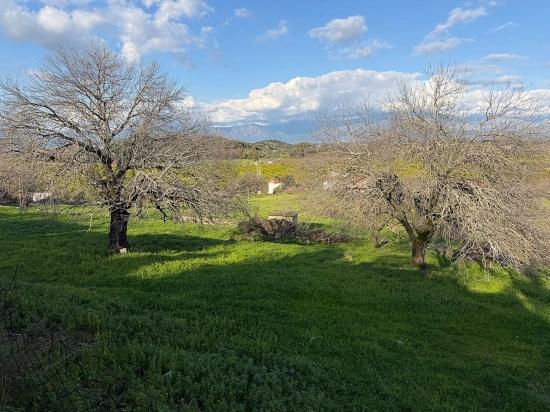 Dalyan'da Göl Manzaralı 11.230m2 Satılık Tarla