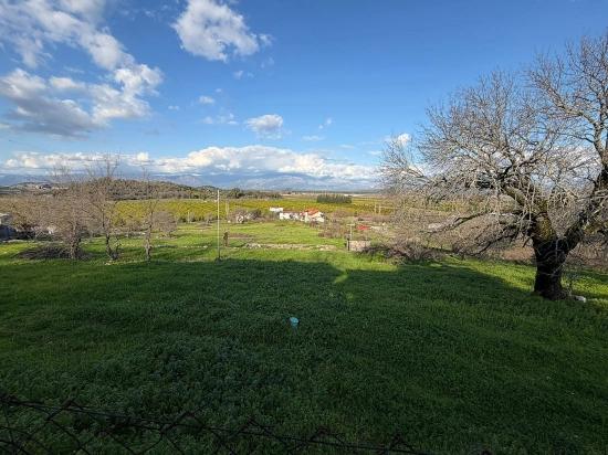 Dalyan'da Göl Manzaralı 11.230m2 Satılık Tarla