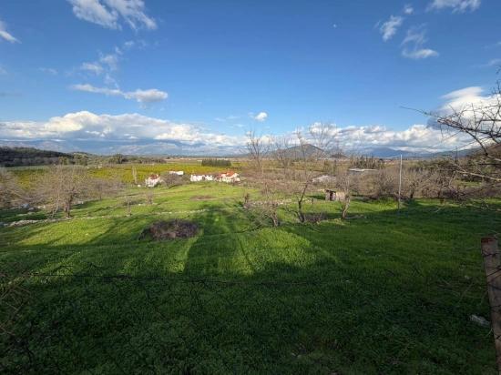 Dalyan'da Göl Manzaralı 11.230m2 Satılık Tarla