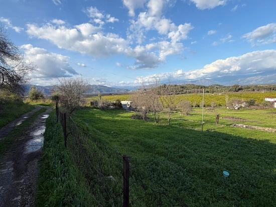 Dalyan'da Göl Manzaralı 11.230m2 Satılık Tarla