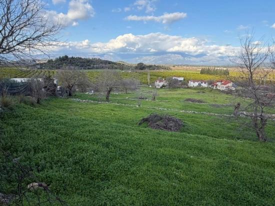 Dalyan'da Göl Manzaralı 11.230m2 Satılık Tarla