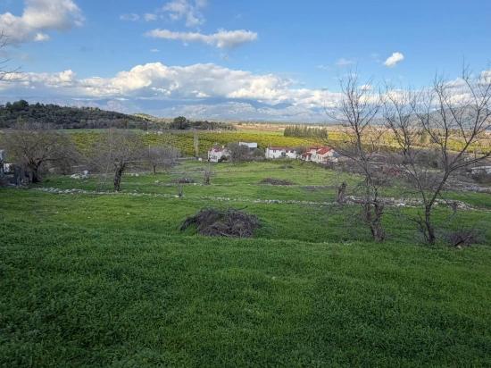 Dalyan'da Göl Manzaralı 11.230m2 Satılık Tarla