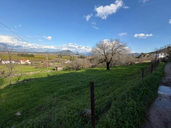 Dalyan'da Göl Manzaralı 11.230m2 Satılık Tarla