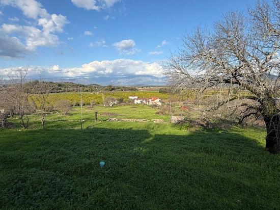 Dalyan'da Göl Manzaralı 11.230m2 Satılık Tarla