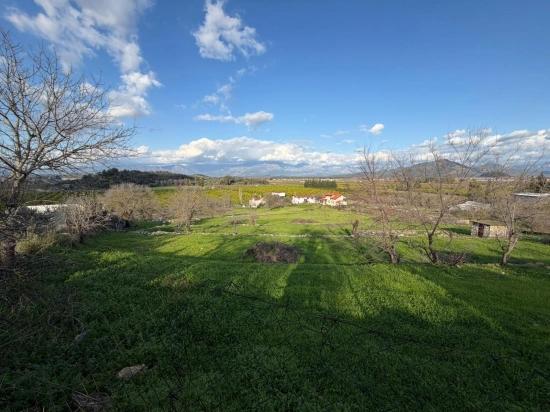 Dalyan'da Göl Manzaralı 11.230m2 Satılık Tarla