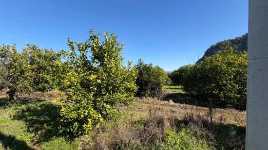 Okçular Marmarlı'da 2.218m2 Satılık Arsa