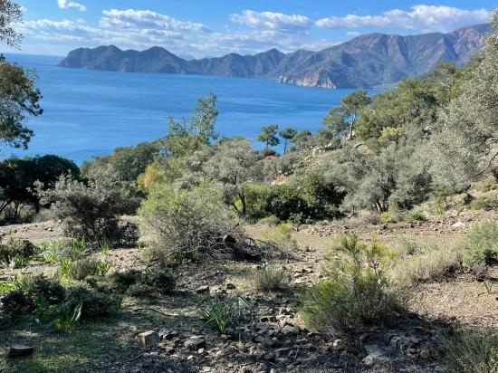 Çandır Full Deniz Manzaralı 20.000m2 Satılık 2b